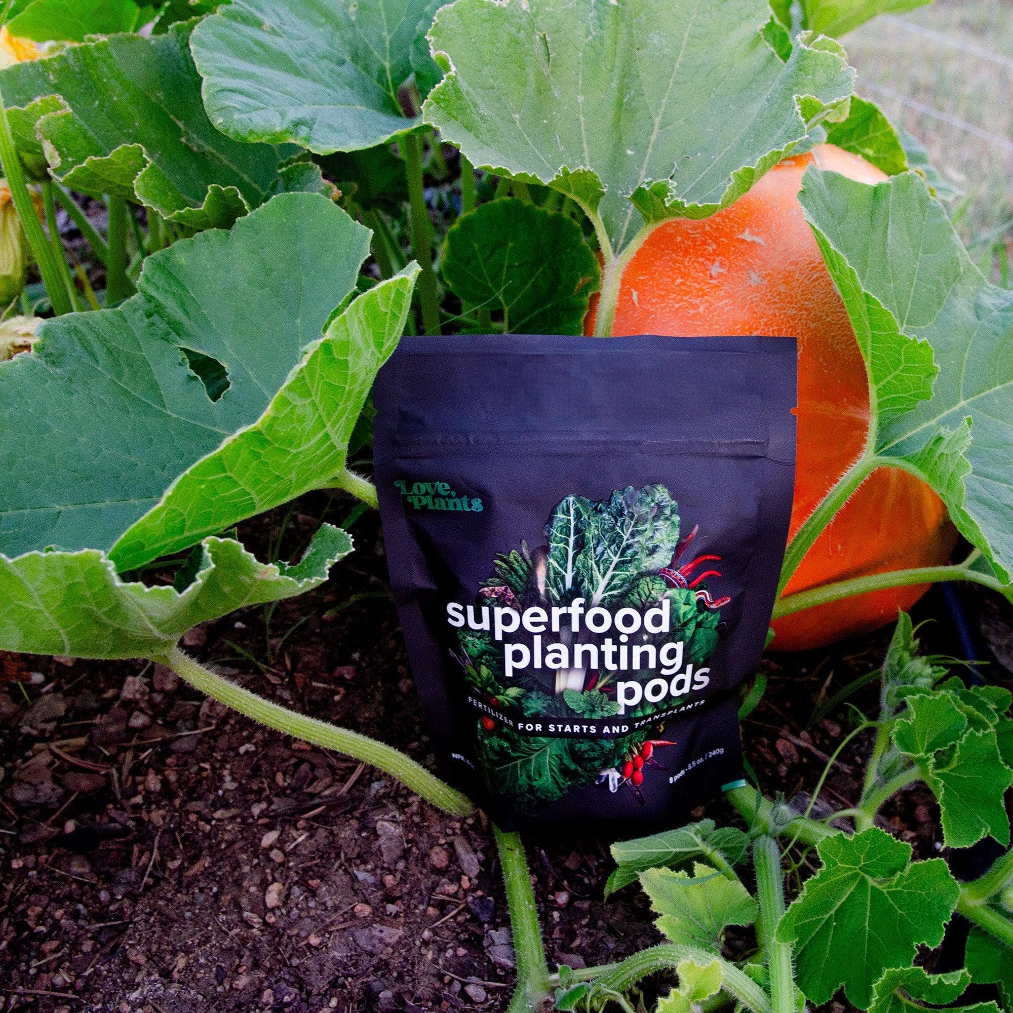 Abundant Harvest Gardening Kit - Image 3