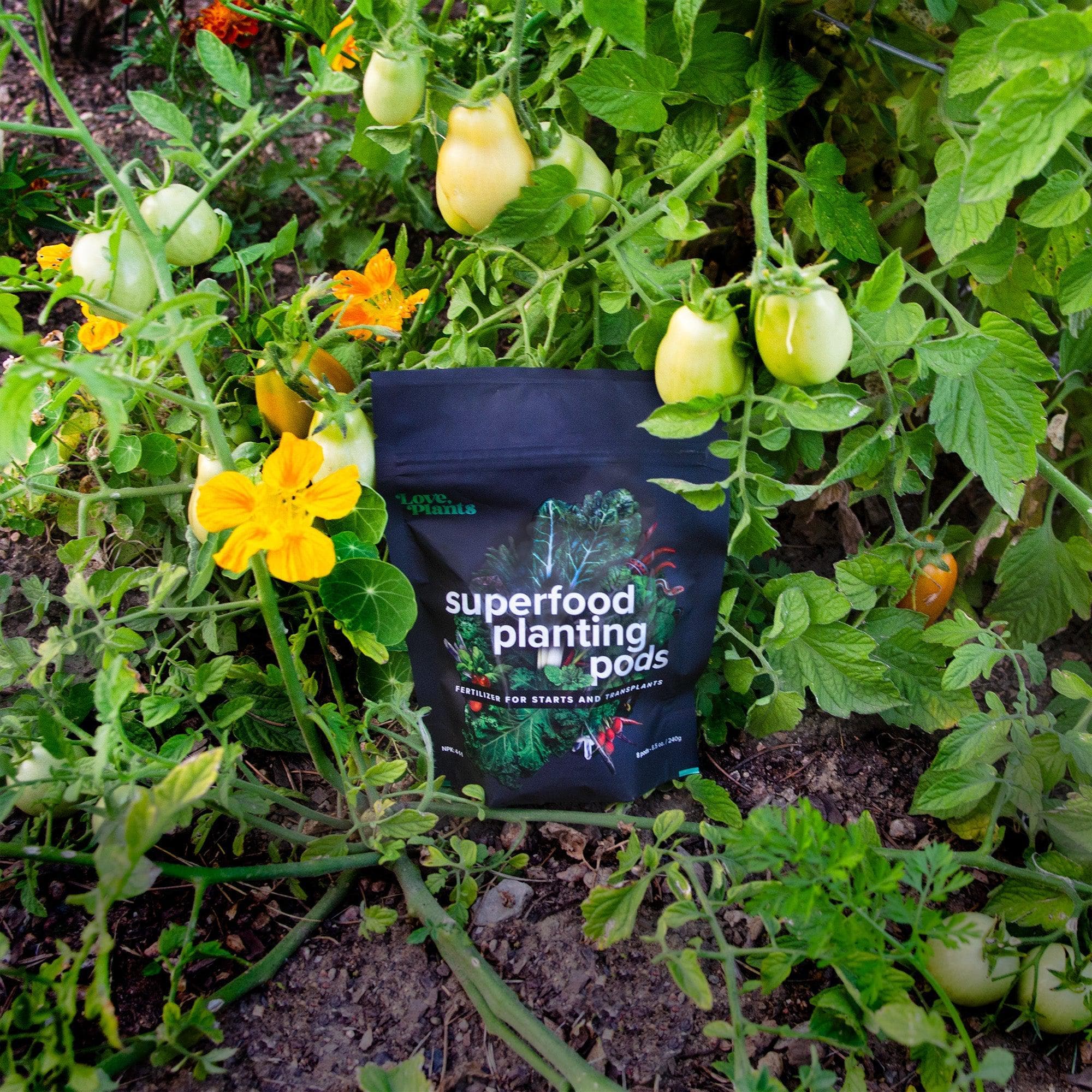 Seed, Start & Transplant Success Kit - Image 3