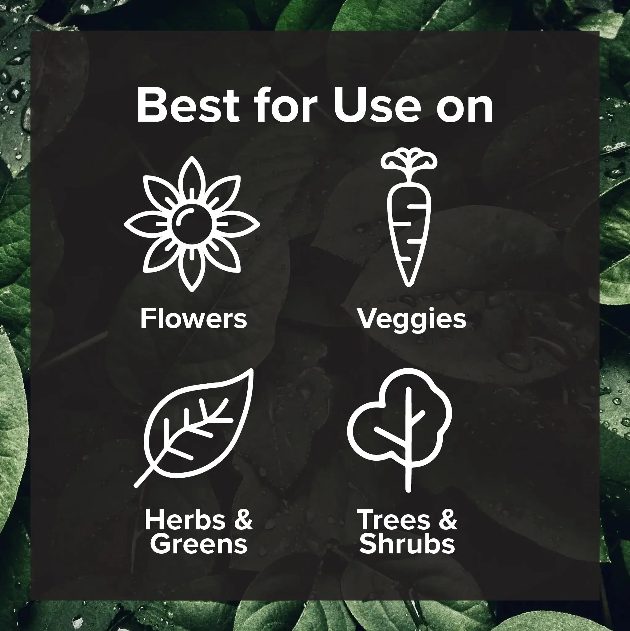 Seed, Start & Transplant Success Kit - Image 5