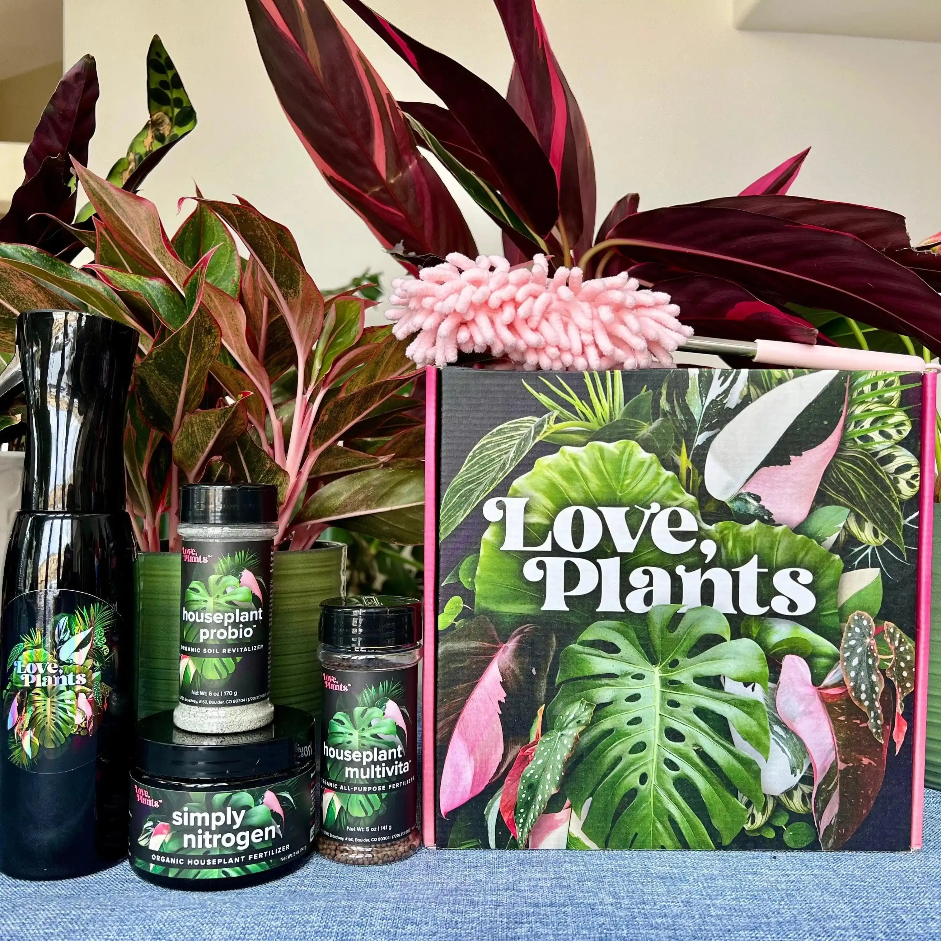 Tropical Houseplant Care Kit - Image 4