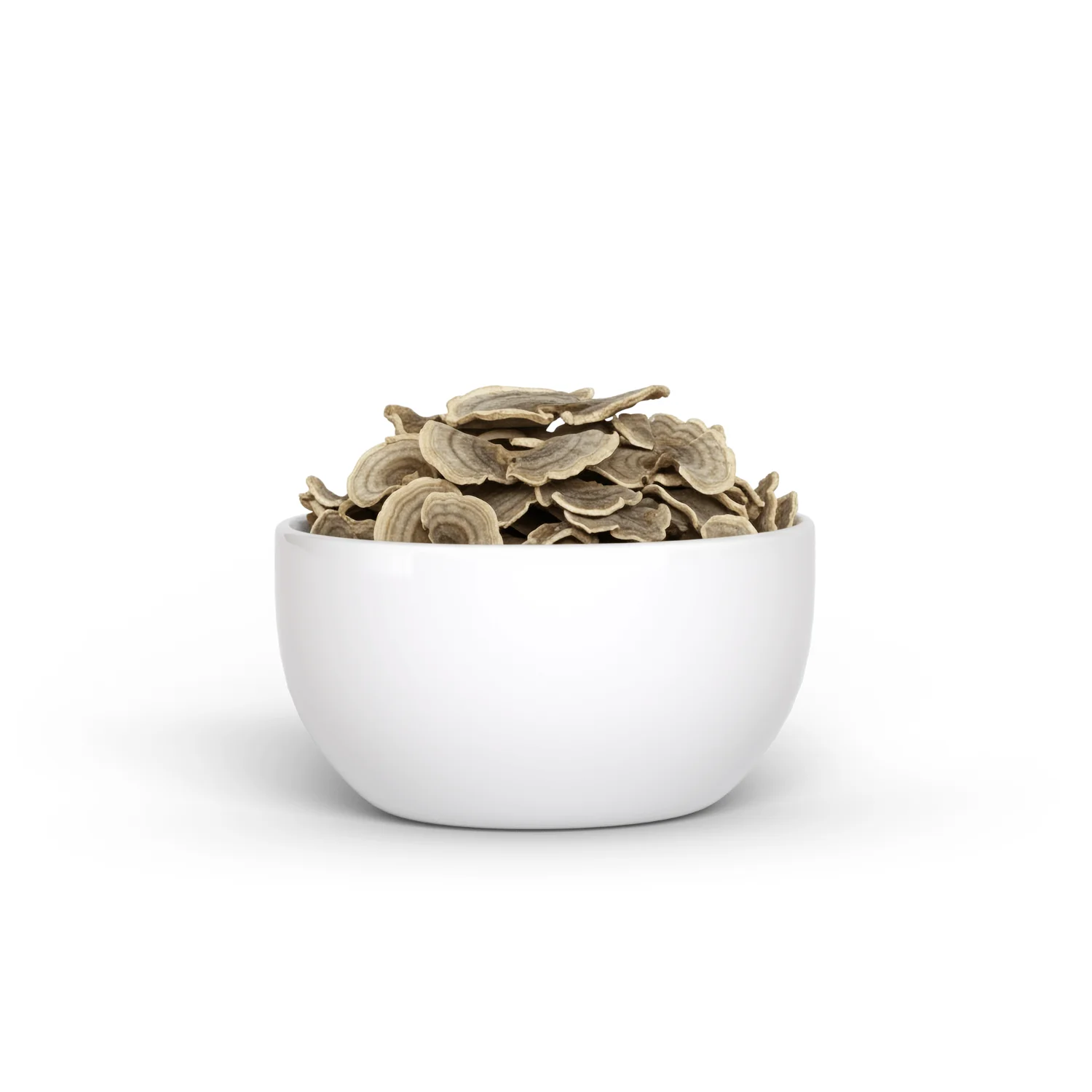 Organic Turkey Tail Mushroom (15 g) - Image 3