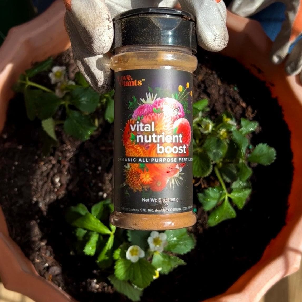 Vital Nutrient Boost - Image 3